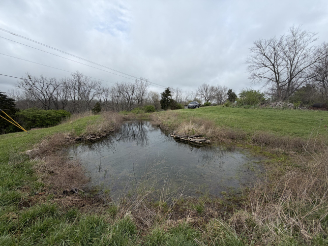 Listing Image 82