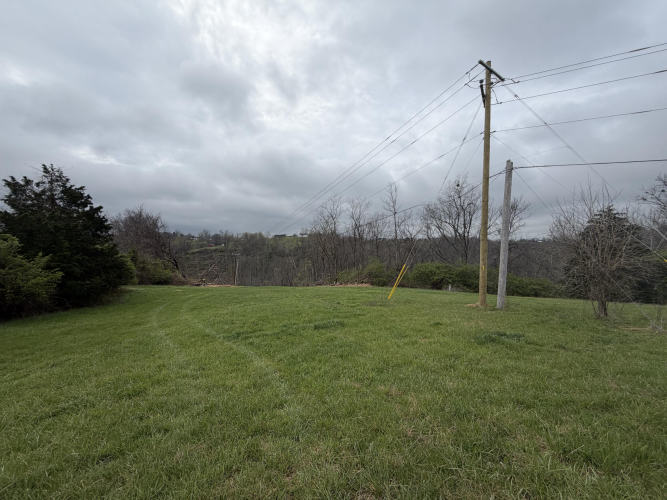Listing Image 83