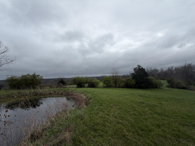 Listing Image 84