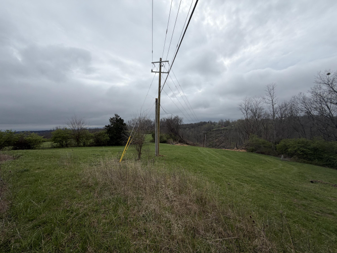 Listing Image 85