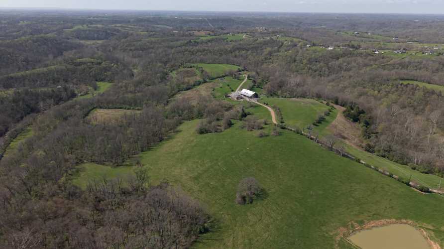 Listing Image 86