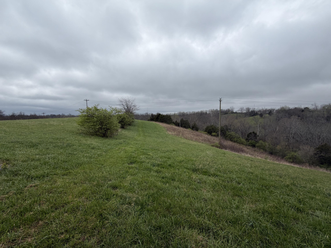 Listing Image 87