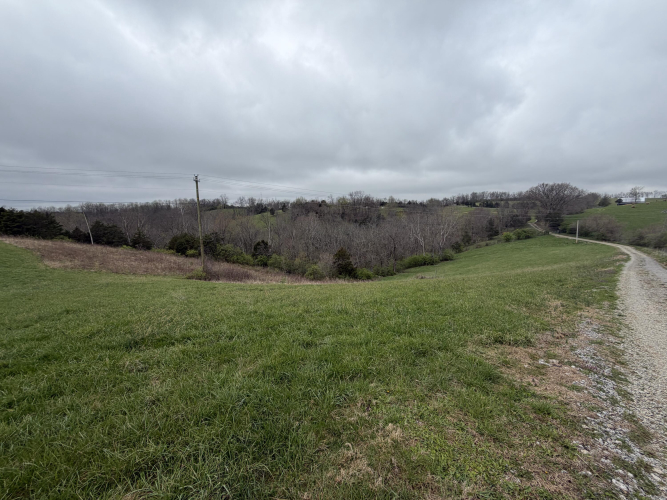 Listing Image 88