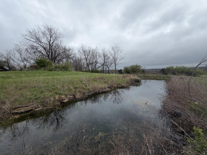 Listing Image 89