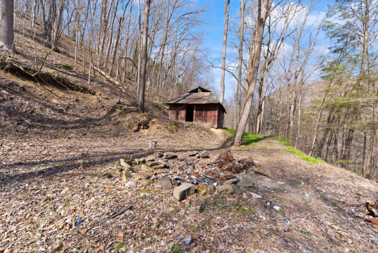Listing Image 12