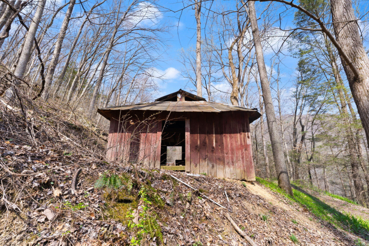 Listing Image 13