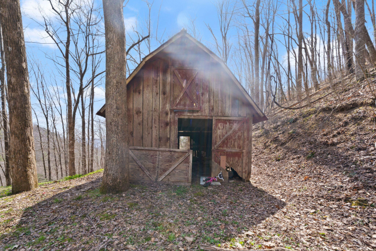 Listing Image 9
