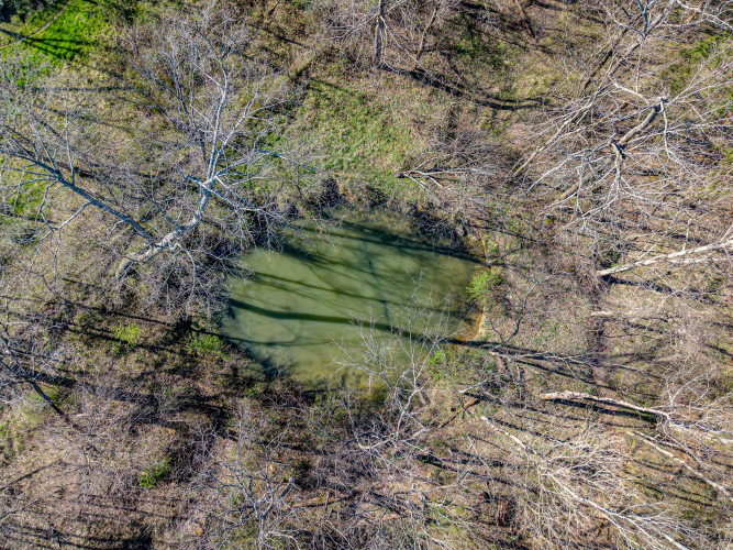 Listing Image 89