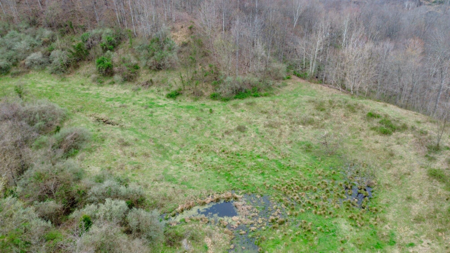 Listing Image 30