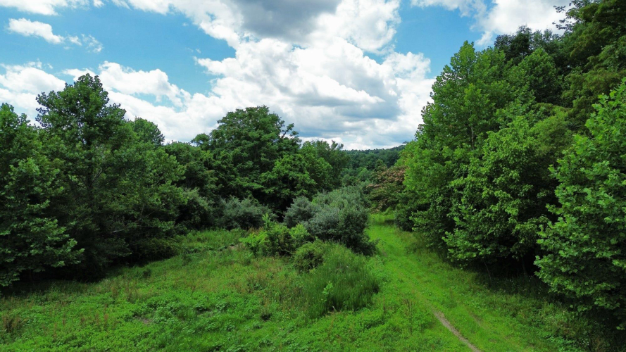 Listing Image 33