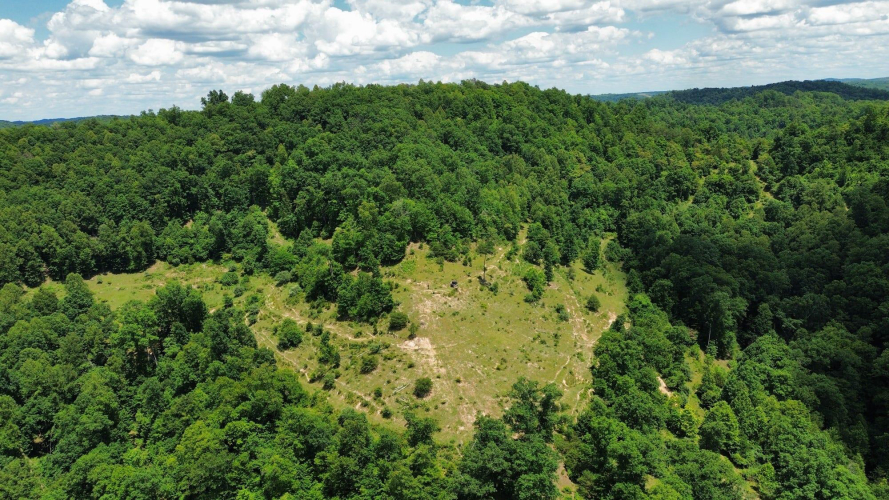 Listing Image 35