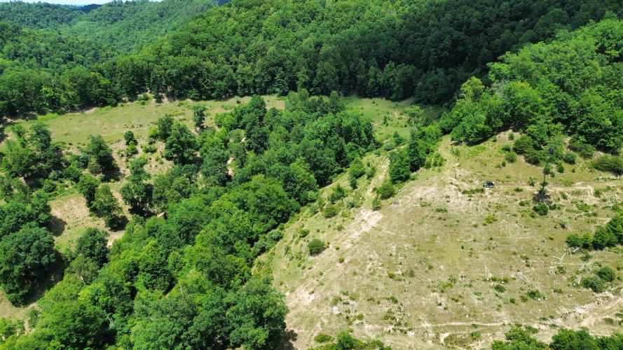 Listing Image 36