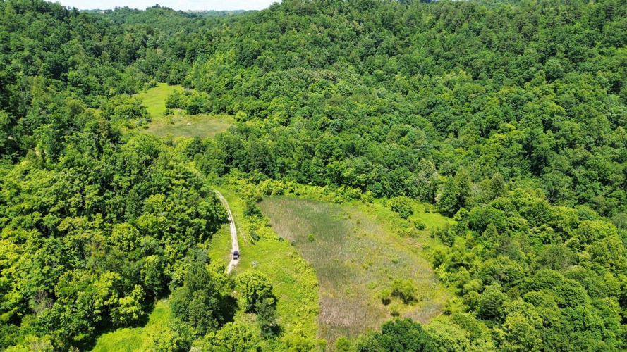Listing Image 52