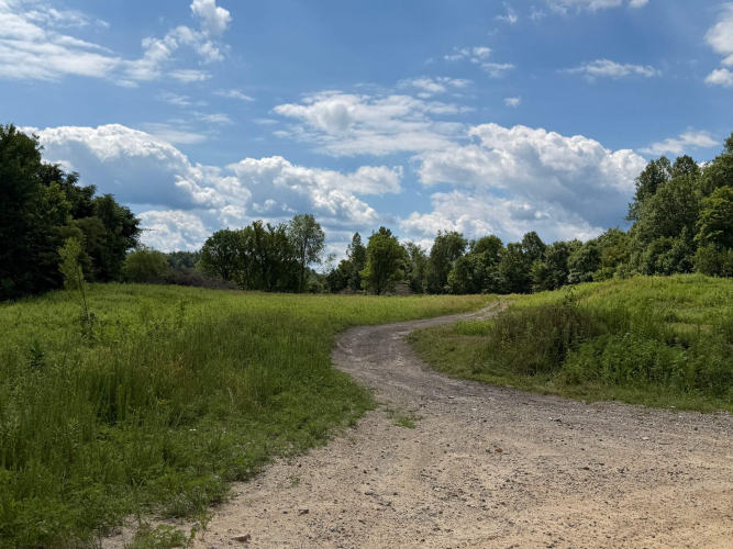 Listing Image 62