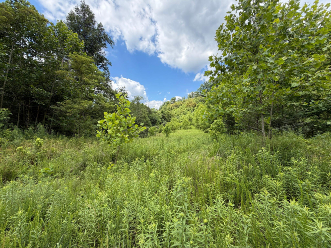 Listing Image 64