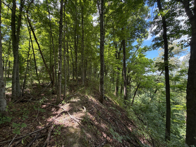 Listing Image 65