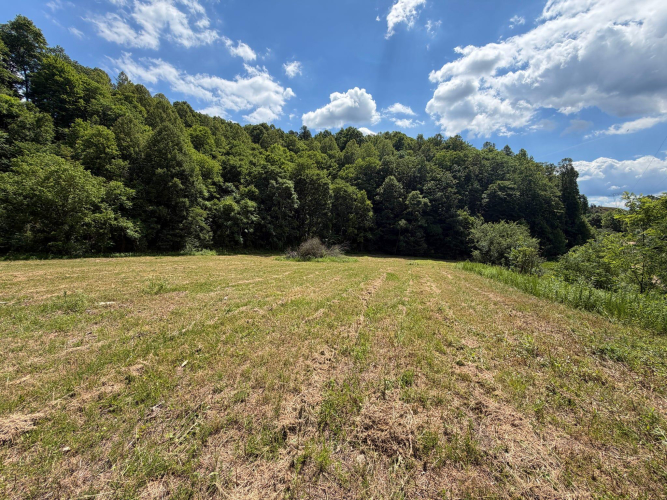 Listing Image 67