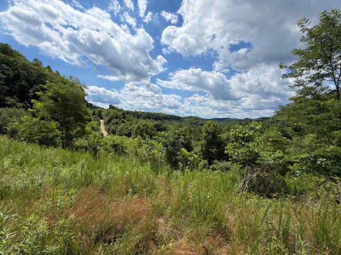Listing Image 68