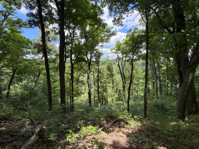 Listing Image 69