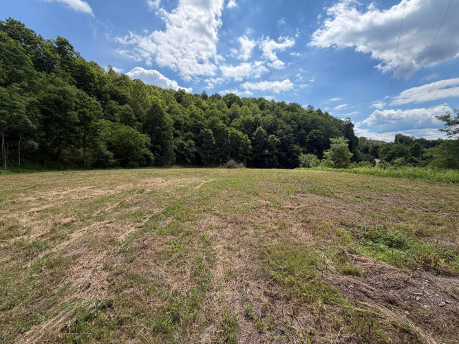 Listing Image 70