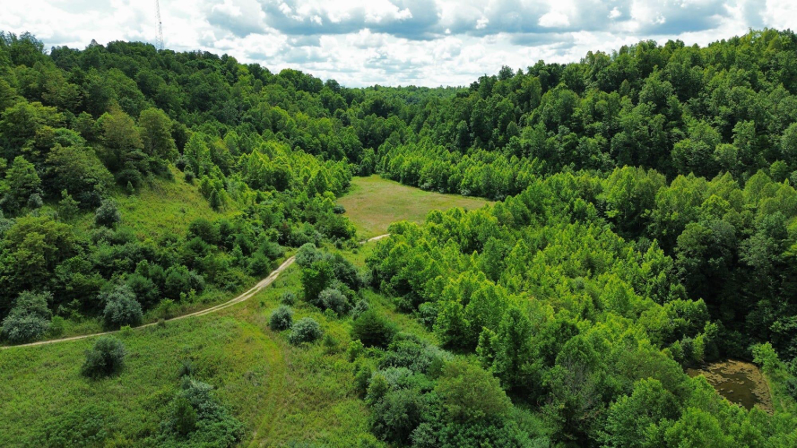 Listing Image 9