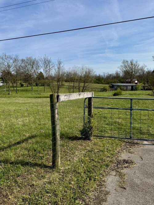 Listing Image 50