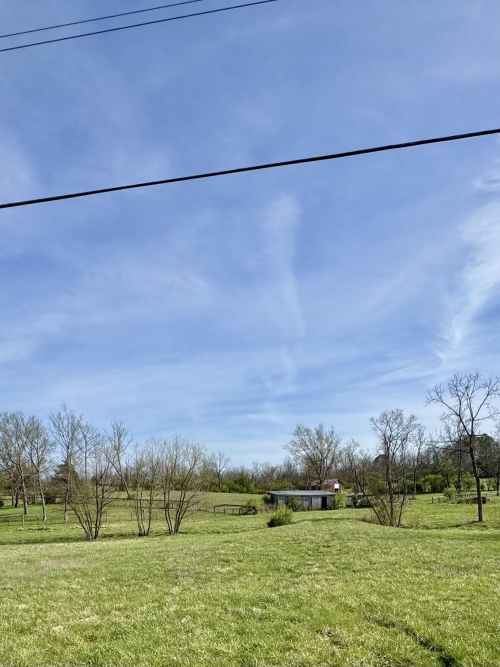 Listing Image 52