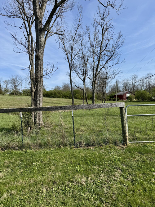 Listing Image 53