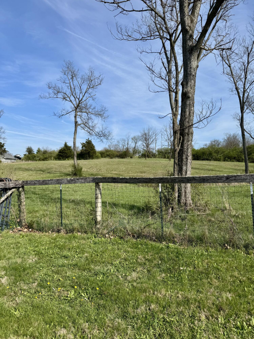 Listing Image 54