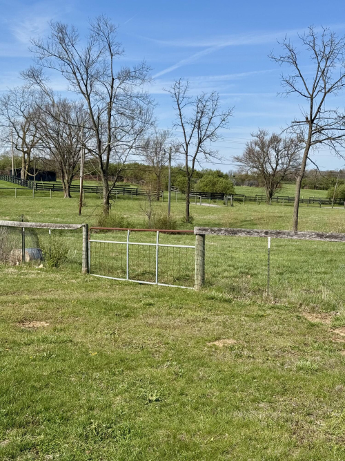 Listing Image 55
