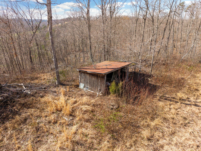 Listing Image 29