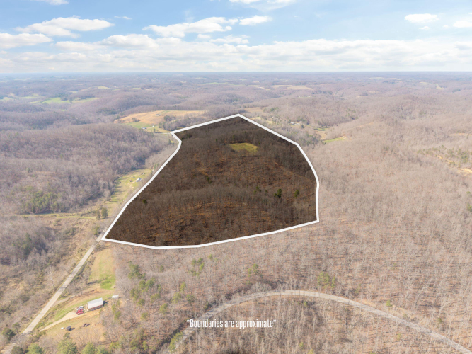 Listing Image 40