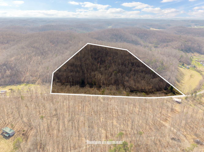 Listing Image 41
