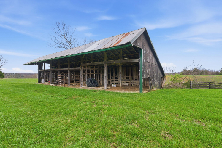 Listing Image 101