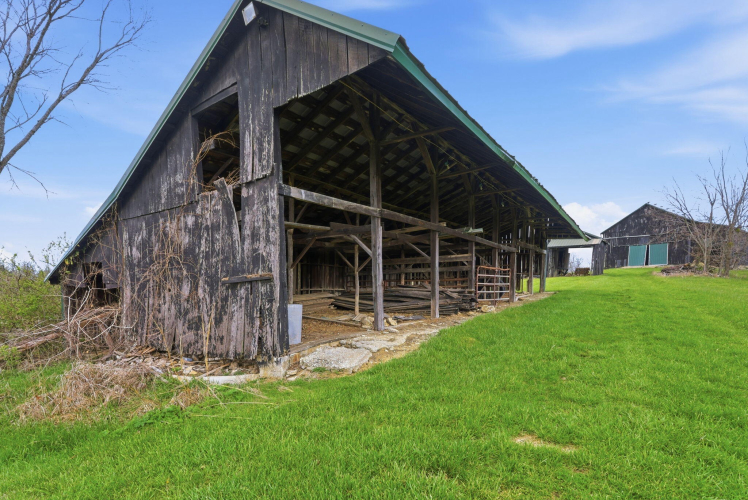 Listing Image 102
