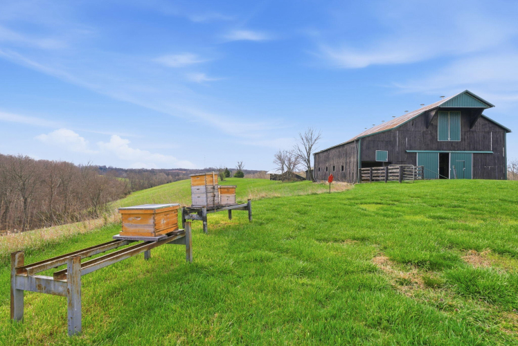 Listing Image 103