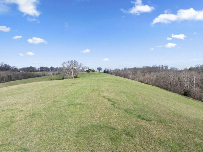 Listing Image 74