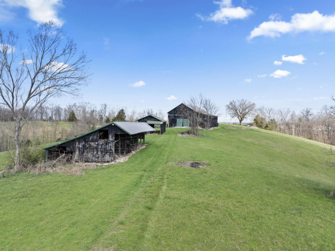 Listing Image 75