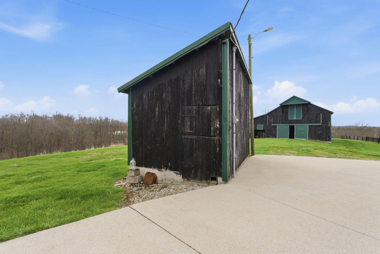 Listing Image 91
