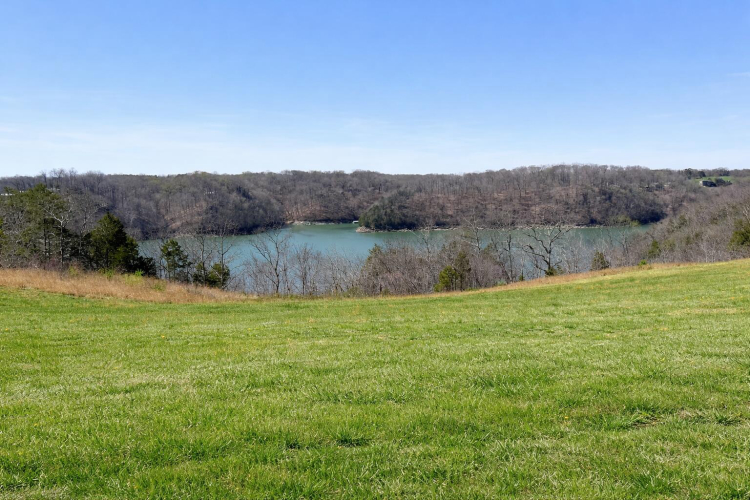 Listing Image 37