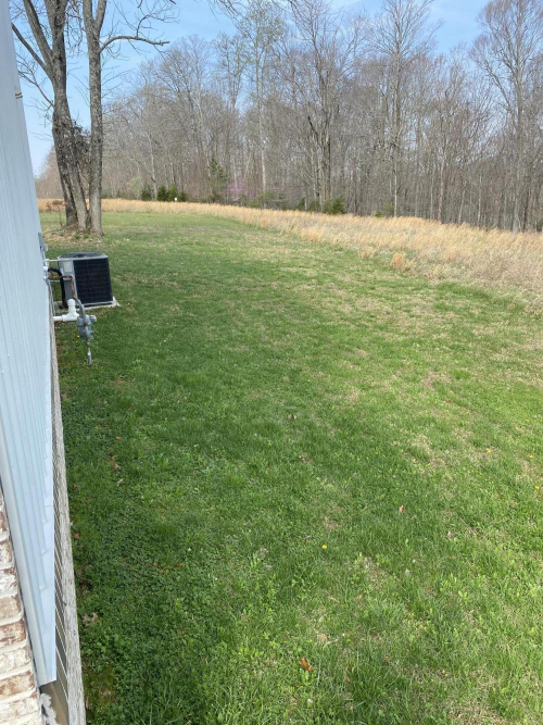 Listing Image 29