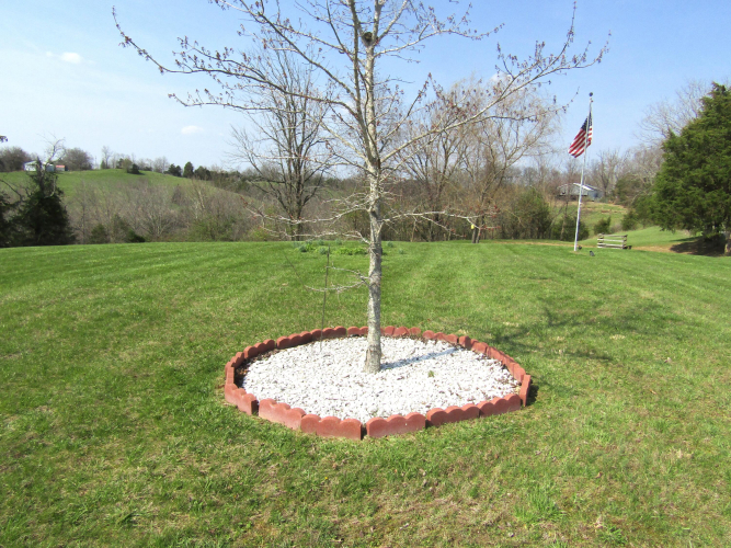 Listing Image 5