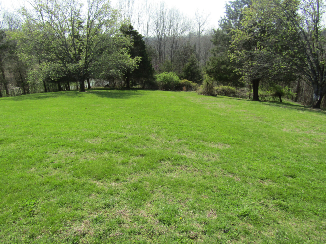 Listing Image 44