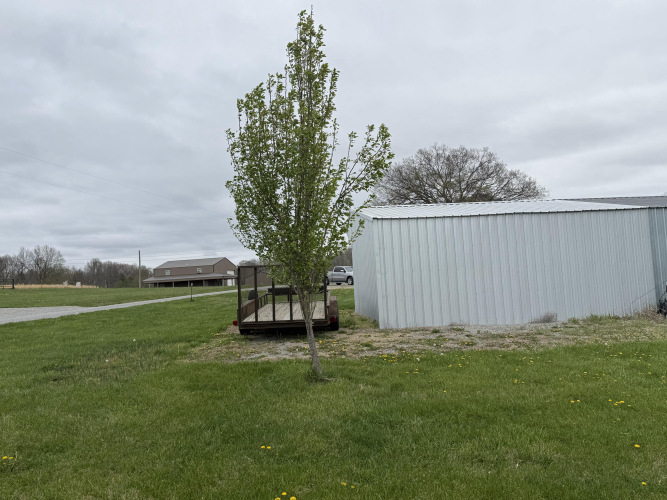 Listing Image 5