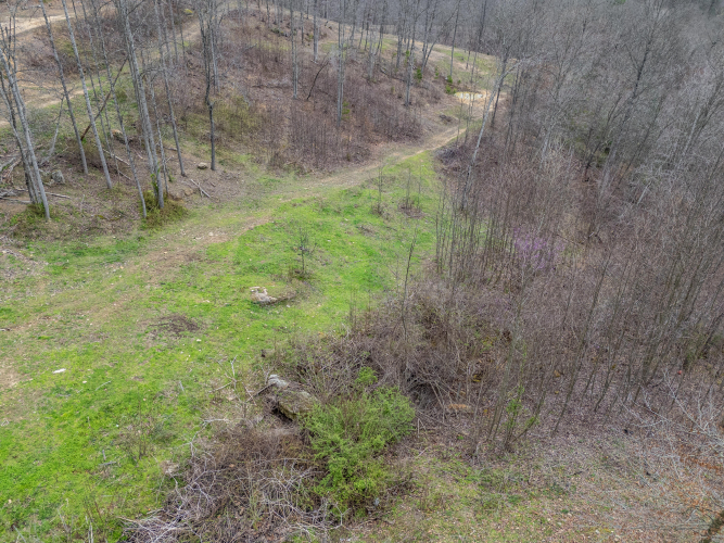 Listing Image 50