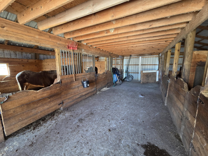 Listing Image 24