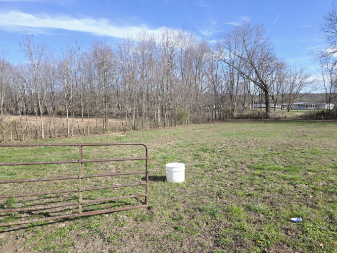 Listing Image 30