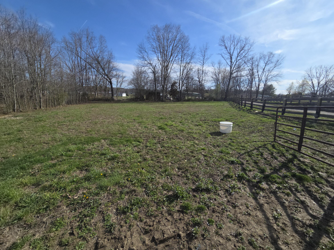Listing Image 32