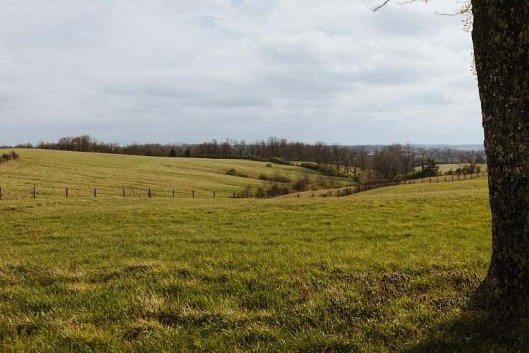 Listing Image 90