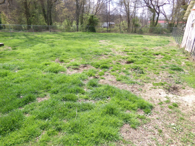 Listing Image 53